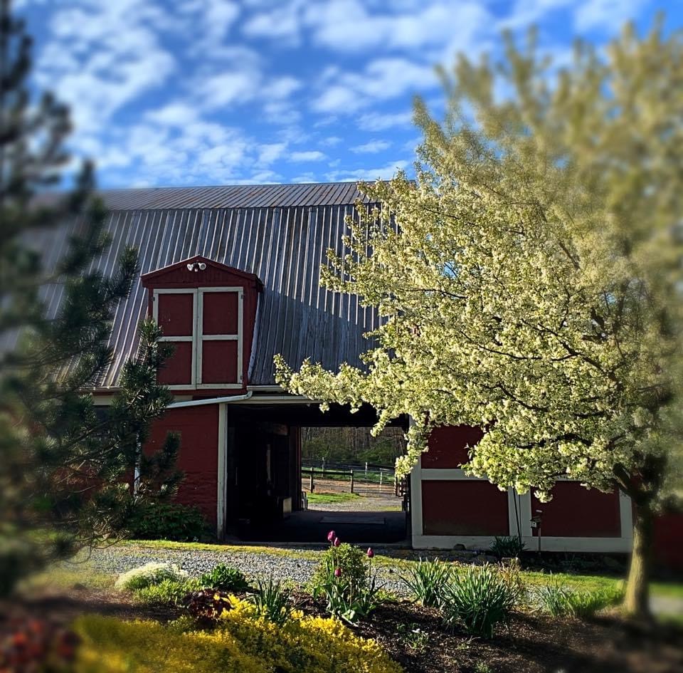Little Springs Farm